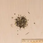 Mélanges de fleurs - Décor Couvrant - 50 m² - Mélange de fleurs - MEDIA_3D